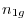 n_{1g} 