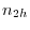 n_{2h} 