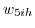 _{ }w_{5ih} 