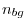 n_{bg} 