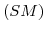  \left( SM\right) 
