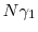  N \gamma_1