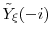  \ensuremath{{\tilde Y}}_\xi(-i)
