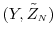  (Y, \tilde{Z}_\ensuremath{{\scriptscriptstyle N}})