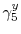  \gamma_{5}^{y}