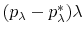  (p_{\lambda}-p^*_{\lambda})\lambda