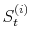  S_{t}^{(i)}