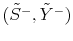  (\tilde{S}^{-},\tilde{Y}^{-})