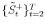  \{\tilde{S}_{t}^{+}\}_{t=2}^{T}