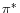 \pi^{\ast }