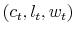  \left( c_{t},l_{t},w_{t}\right) 