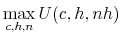 \displaystyle \max_{c,h,n} U(c, h, nh)
