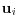 {\rm {\bf u}}_i 