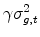  \gamma \sigma_{g,t}^2
