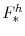 F_{\ast }^h