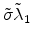  \tilde{\sigma}\tilde{\lambda}_1