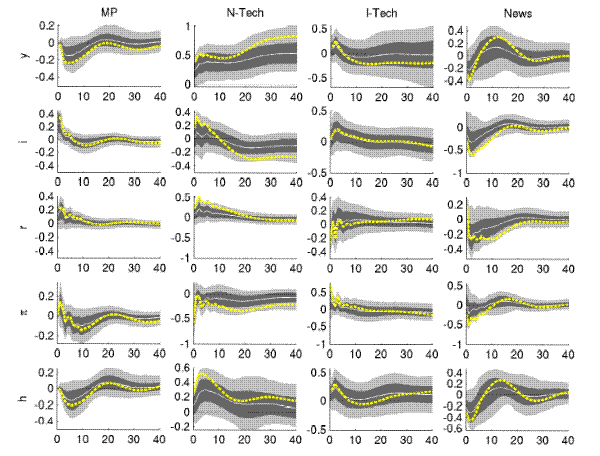 Figure 4: Impulse Responses: please refer to the link below for figure data.