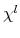  \chi^{l}