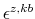  \epsilon^{z,kb}