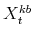  X^{kb}_{t}