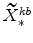  \widetilde{X}_{\ast }^{kb} 