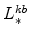  L^{kb}_{\ast}