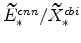  \widetilde{E}% ^{cnn}_{\ast}/\widetilde{X}^{cbi}_{\ast}
