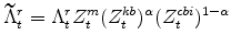 \displaystyle \widetilde{\Lambda}^{r}_{t} =\Lambda^{r}_{t}Z^{m}_{t}(Z^{kb}_{t})^{\alpha}(Z^{cbi}_{t})^{1-\alpha}