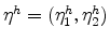  \eta^{h}=(\eta _{1}^{h},\eta_{2}^{h})