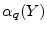  \ensuremath{\alpha_q(Y)}