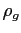 $ \rho_{g}$