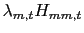 $\displaystyle \lambda_{m,t}H_{mm,t}$