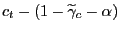 $\displaystyle c_{t}-(1-\widetilde{\gamma} _{c}-\alpha)$
