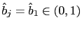 $ \hat{b}_{j}=\hat{b}_{1}\in(0,1)$