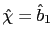 $ \hat{\chi}=\hat{b}_{1}$