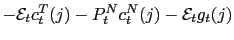 $\displaystyle -\mathcal{E}_{t}c_{t}^{T}(j)-P_{t}^{N}c_{t}^{N}(j)-\mathcal{E}_{t} g_{t}(j)$