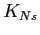$ K_{Ns}$