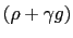 $ \left( \rho+\gamma g\right) $