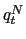 $ q_{t}^{N}$