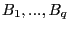 $ B_{1},...,B_{q}$