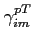 $\gamma^{pT} _{im}$