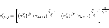 \begin{eqnarray*} c_{i,t+j}^{T}=\left[ \left( \alpha _{i1}^{T}\right) ^{\frac{1}{\varepsilon _{i}^{T}}}\left( c_{i1,t+j}\right) ^{\frac{\varepsilon _{i}^{T}-1}{ \varepsilon _{i}^{T}}}+\left( \alpha _{i2}^{T}\right) ^{\frac{1}{\varepsilon _{i}^{T}}}\left( c_{i2,t+j}\right) ^{\frac{\varepsilon _{i}^{T}-1}{ \varepsilon _{i}^{T}}}\right] ^{\frac{\varepsilon _{i}^{T}}{\varepsilon _{i}^{T}-1}} \end{eqnarray*}
