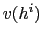 $ v(h^{i})$