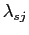 $ \lambda_{sj}$