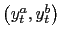 $ \left ( y_{t}^{a},y_{t} ^{b}\right ) $
