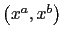 $ \left( x^{a},x^{b}\right) $