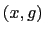 $(x,g)$