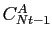 $ C^{A}_{Nt-1}$