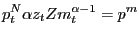 $\displaystyle p_{t}^{N} \alpha z_{t} Zm_{t}^{\alpha-1} =p^{m}$