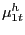 $ \mu ^{h}_{1t}$
